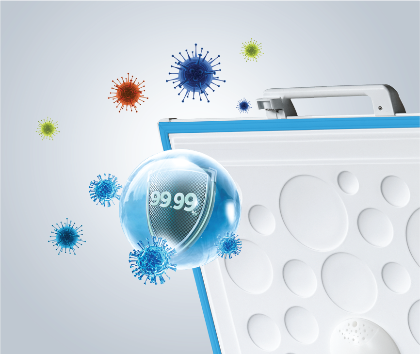 Comprehensive & Isolated from Bacteria Invasion