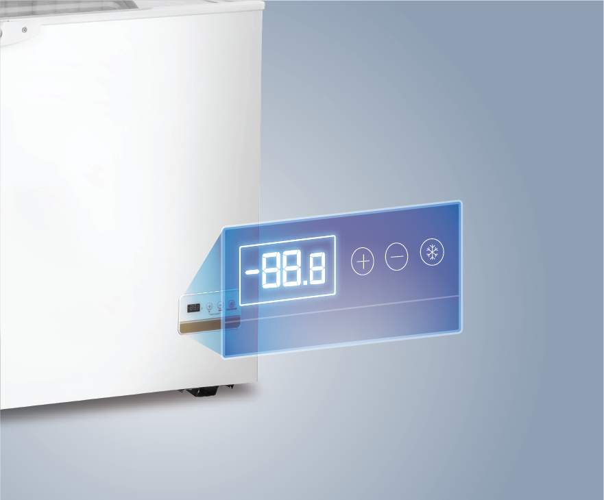 LED Electronic Temperature Control