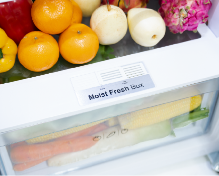 MOIST FRESH BOX