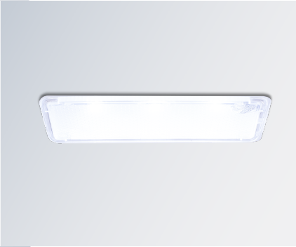 LED LIGHT