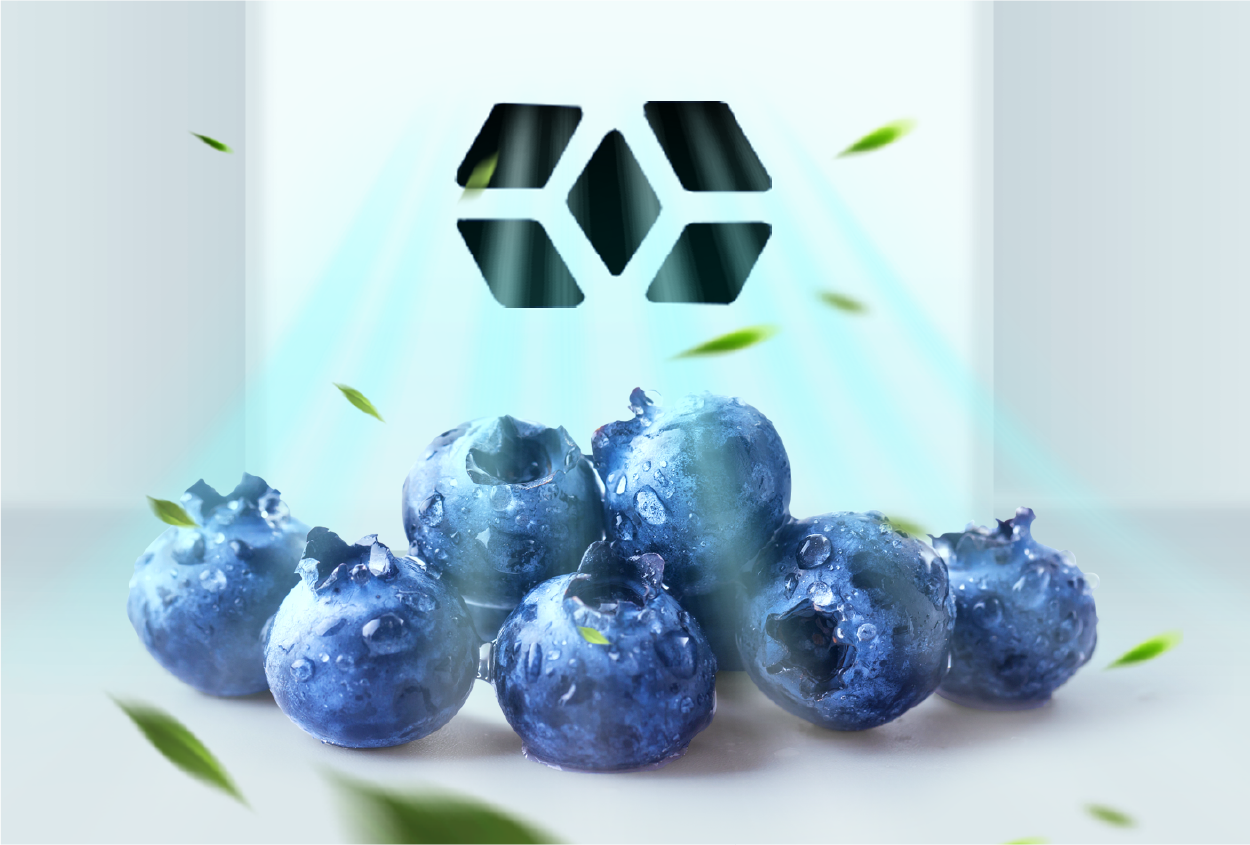 Eliminate 99,9% Of Bacteria And Odor