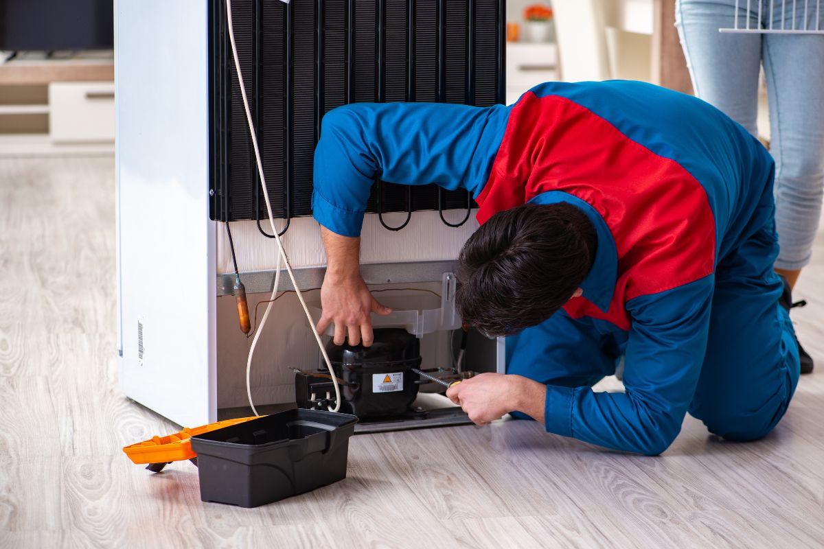 orang memperbaiki kulkas