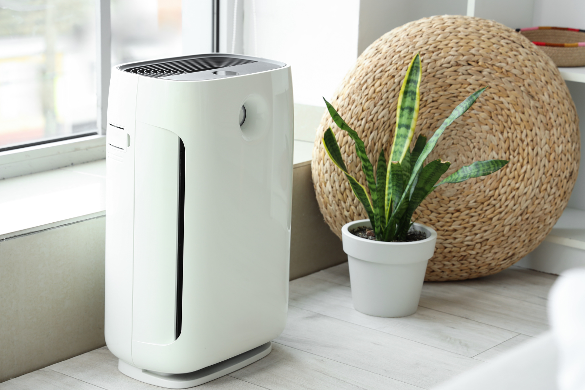 air purifier
